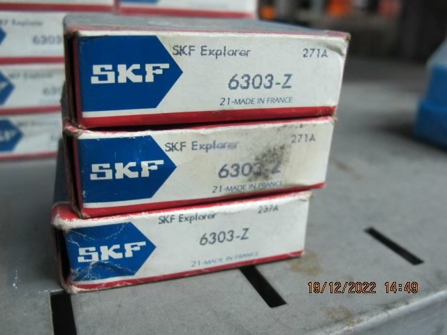 SKF Photo 107